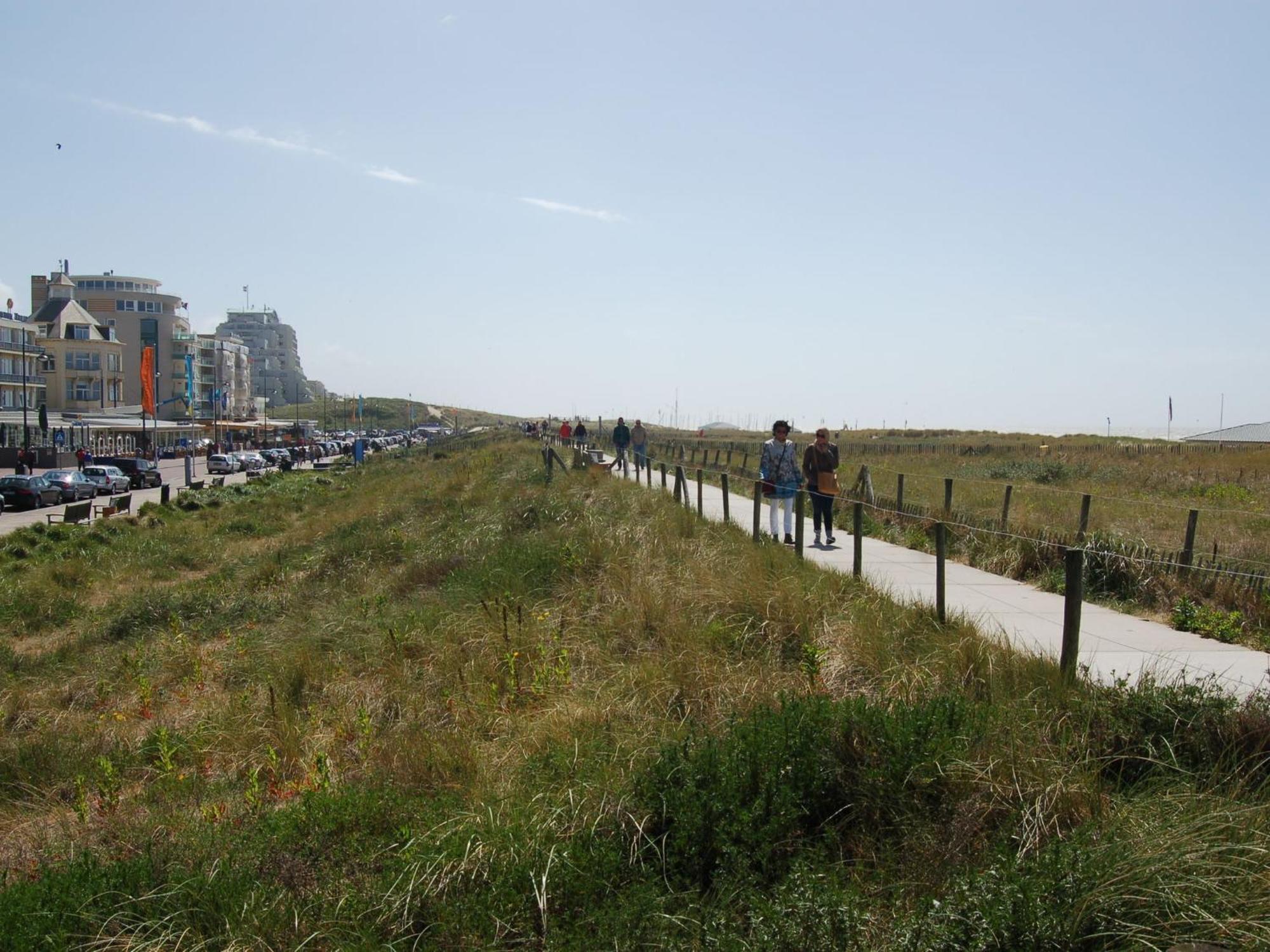 Apartment At The Promenade And Beach Noordwijk Exterior foto
